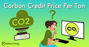 Carbon-Credit-Price-Per-Ton
